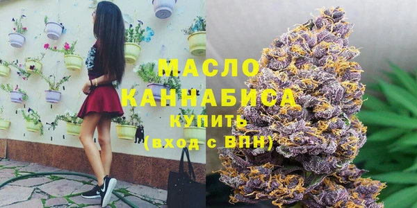 ешки Вяземский