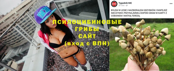 ешки Вяземский