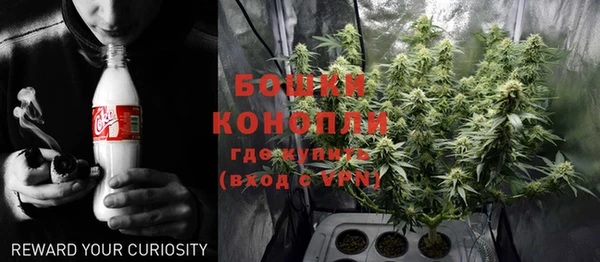 ешки Вяземский