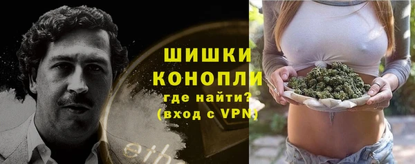 прущие грибы Снежногорск