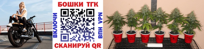 Бошки Шишки конопля Новая Усмань